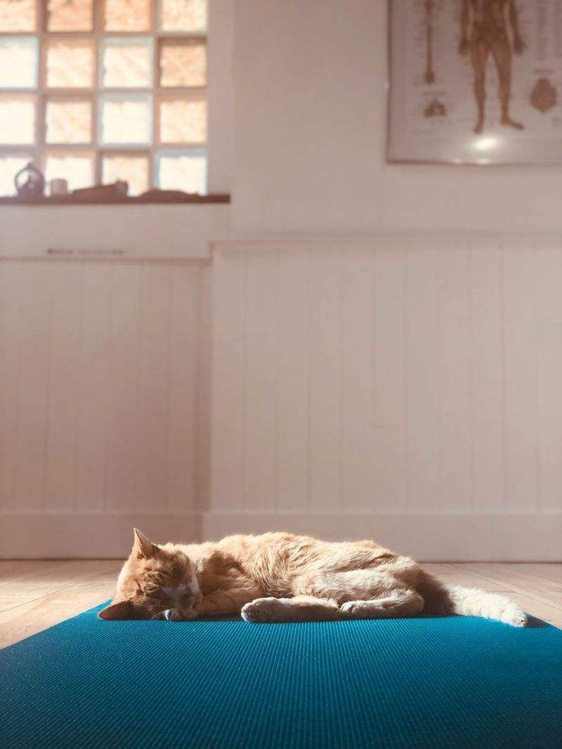 Nordic Serenity Yoga - Image 2